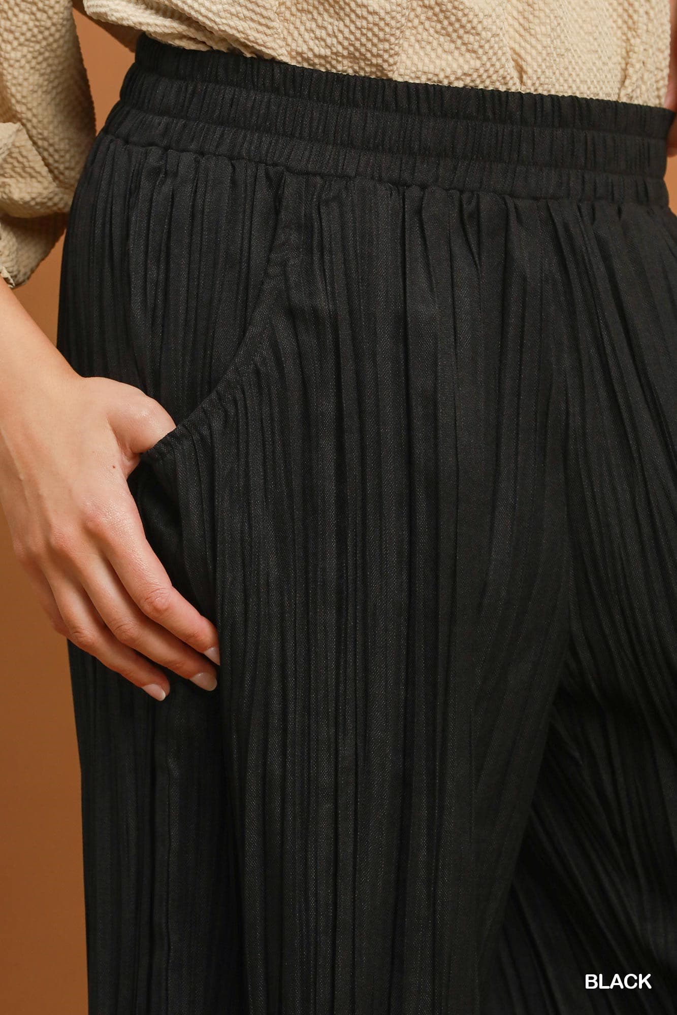 Black Pleated Wide Leg Pants