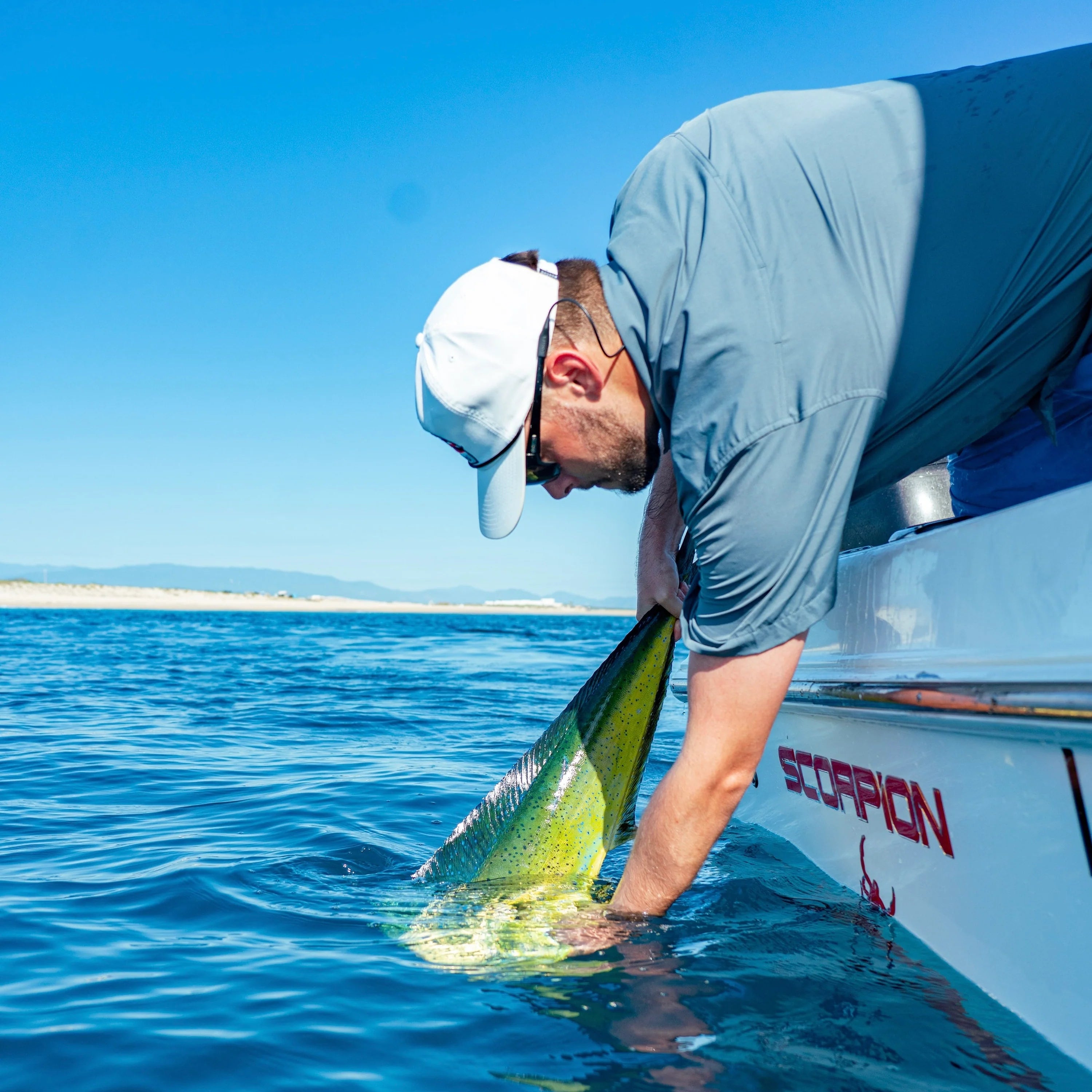 The Ahi by Poncho