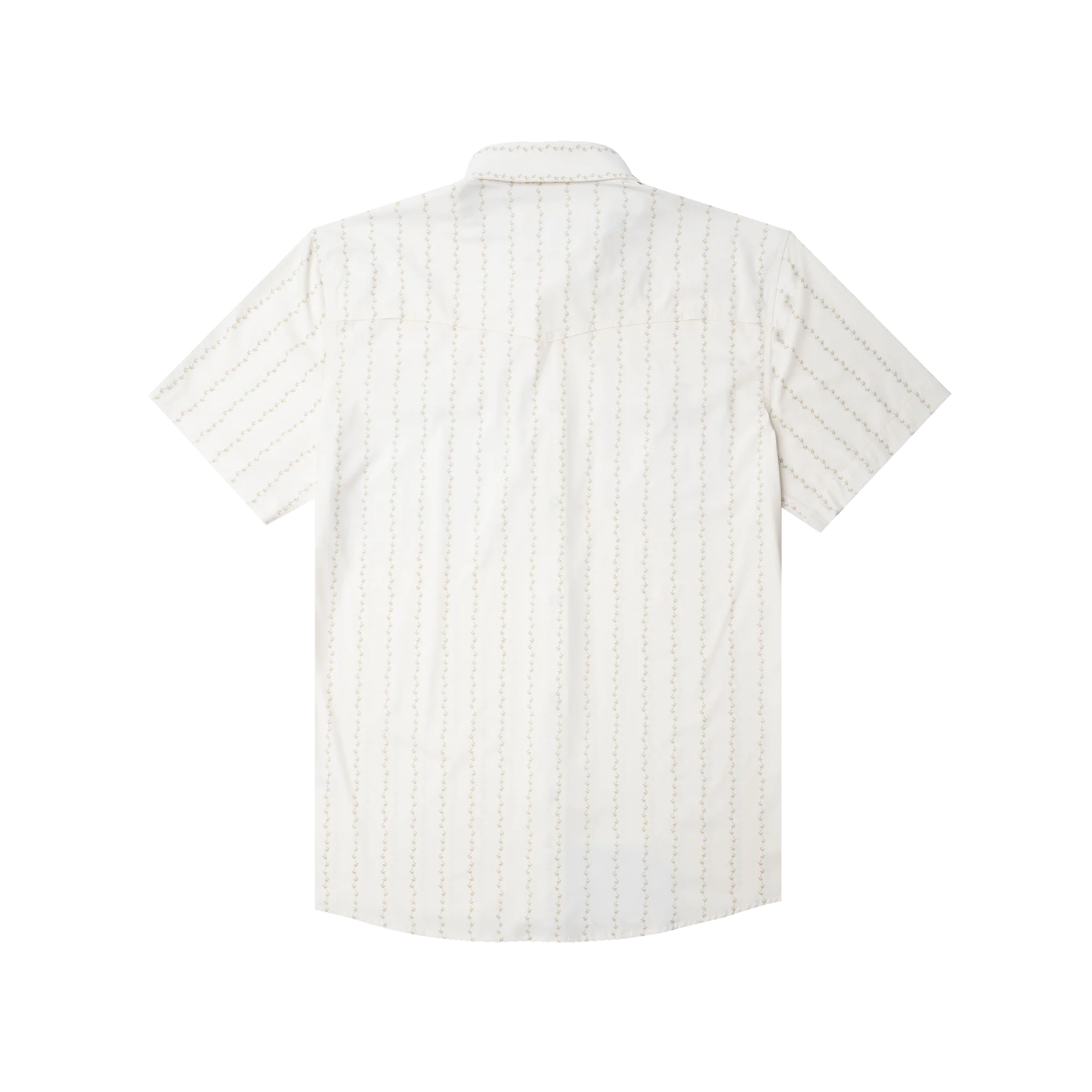 The 1836 by Poncho