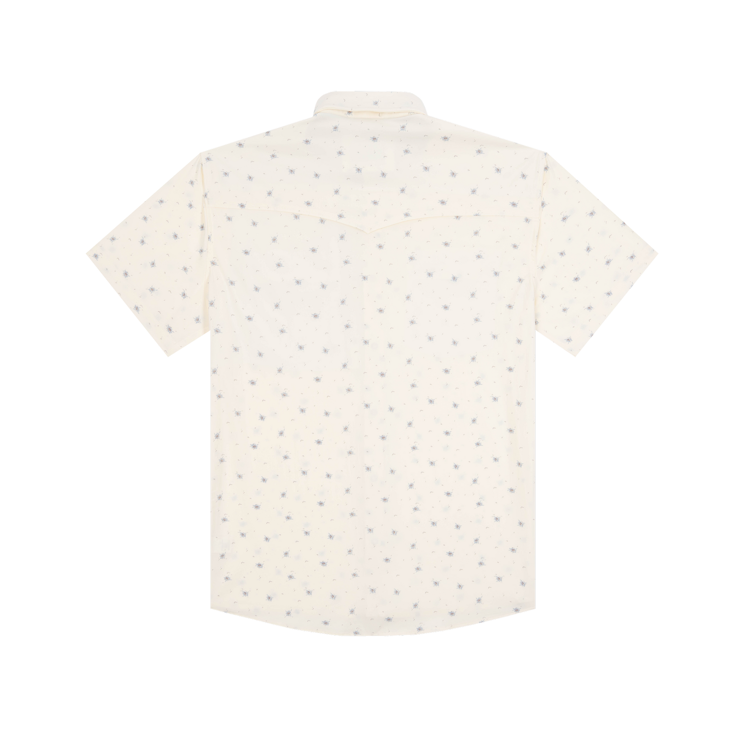 The Llano by Poncho