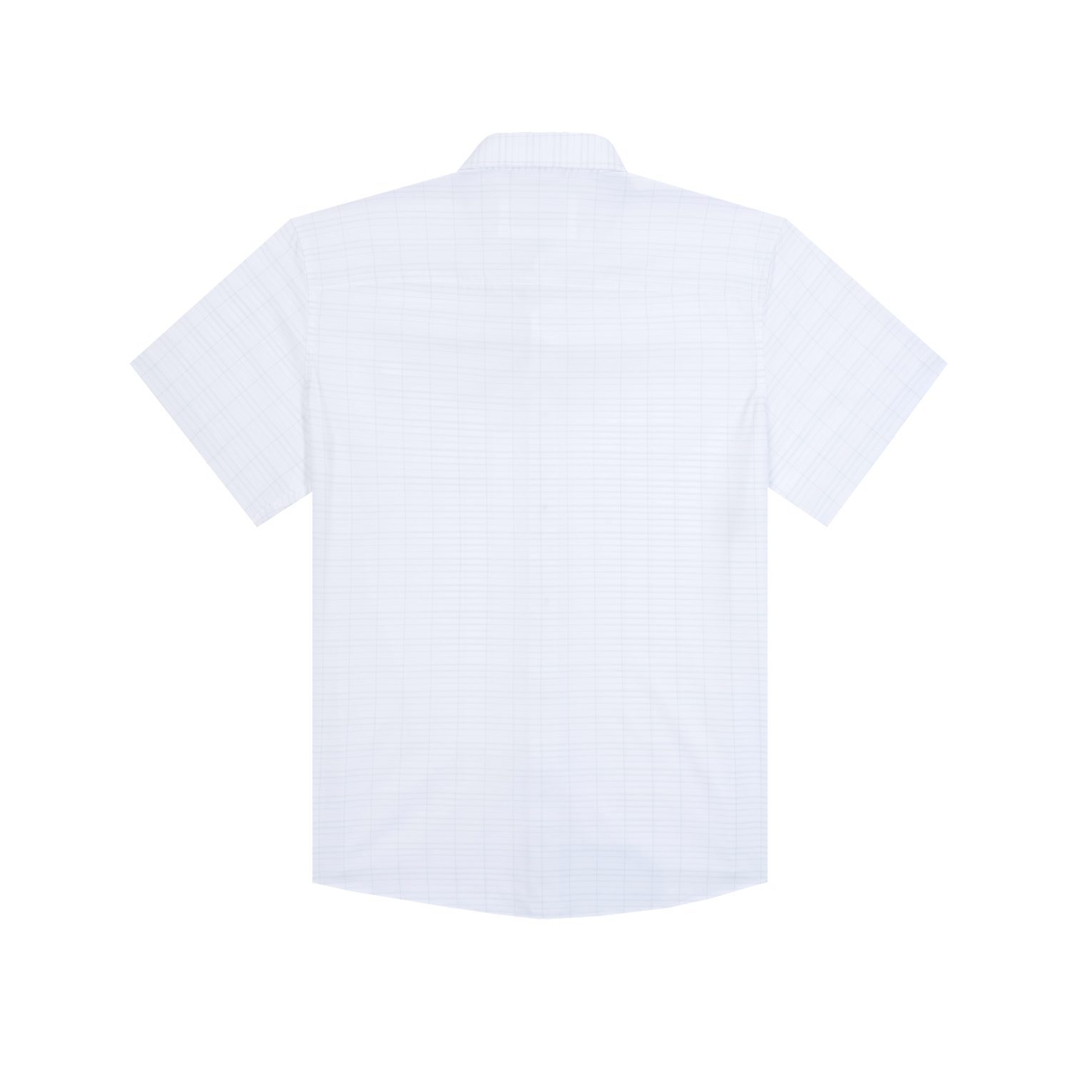 The Boat Rag by Poncho