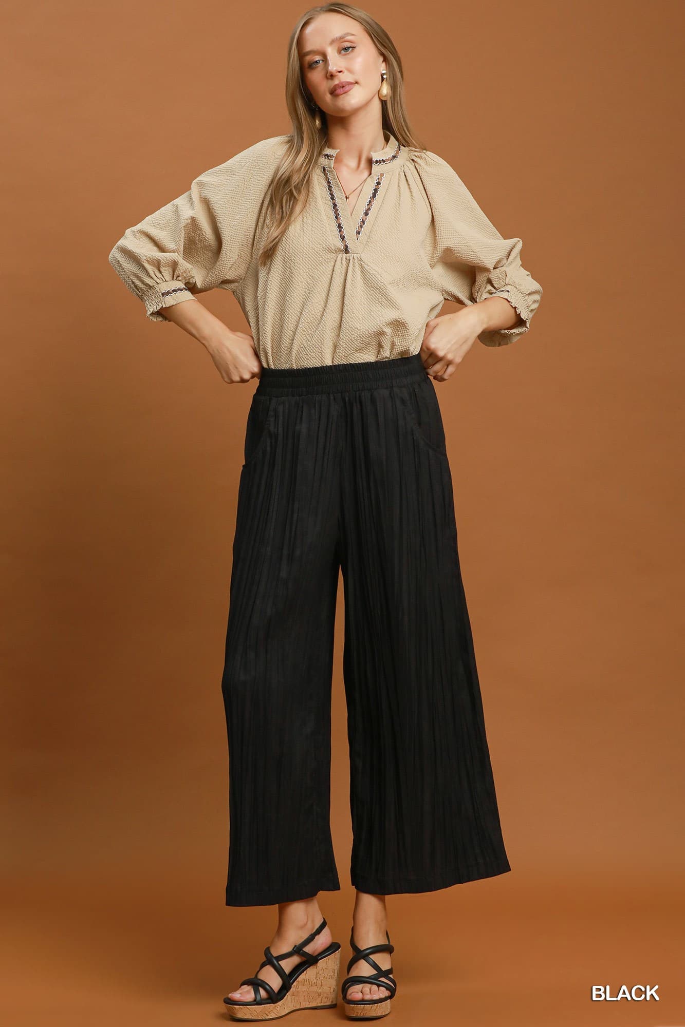 Black  Pleated Wide Leg Pants