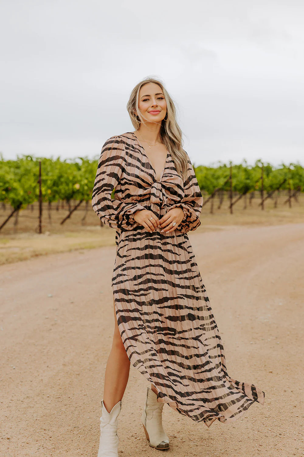 Desirae Stampede Dress