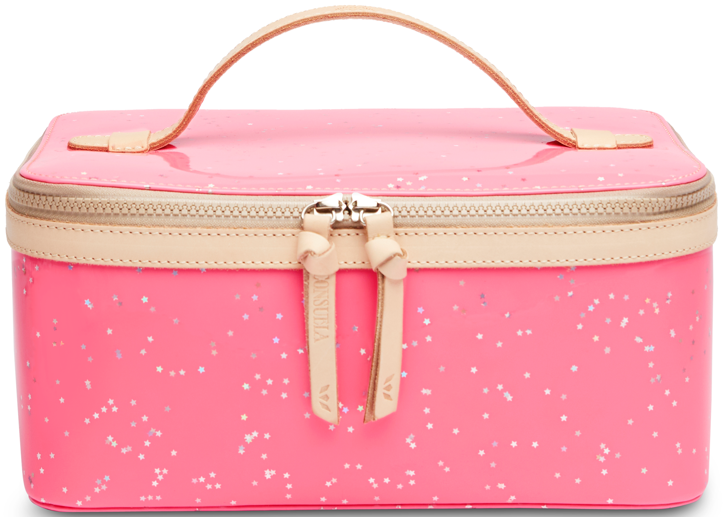 Shine Train Case