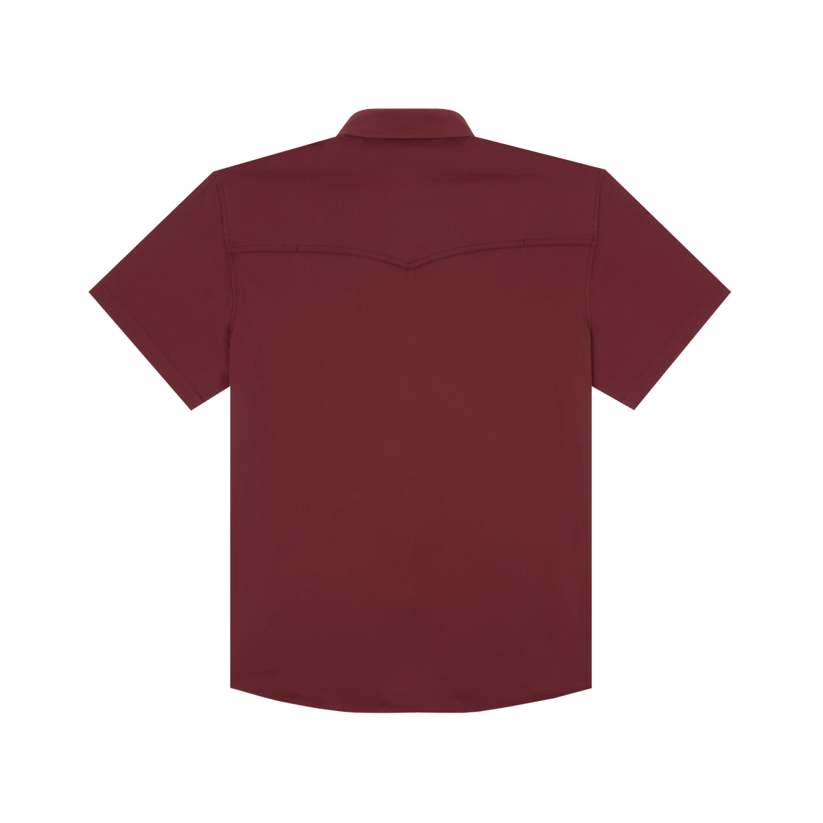The Aggie by Poncho