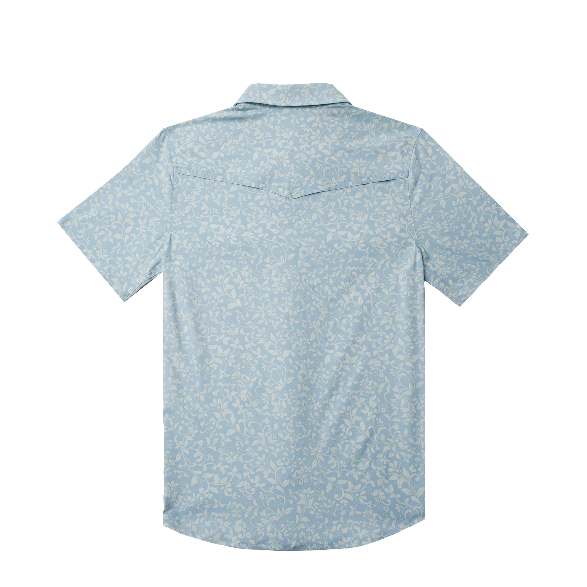 The Alma Youth by Poncho