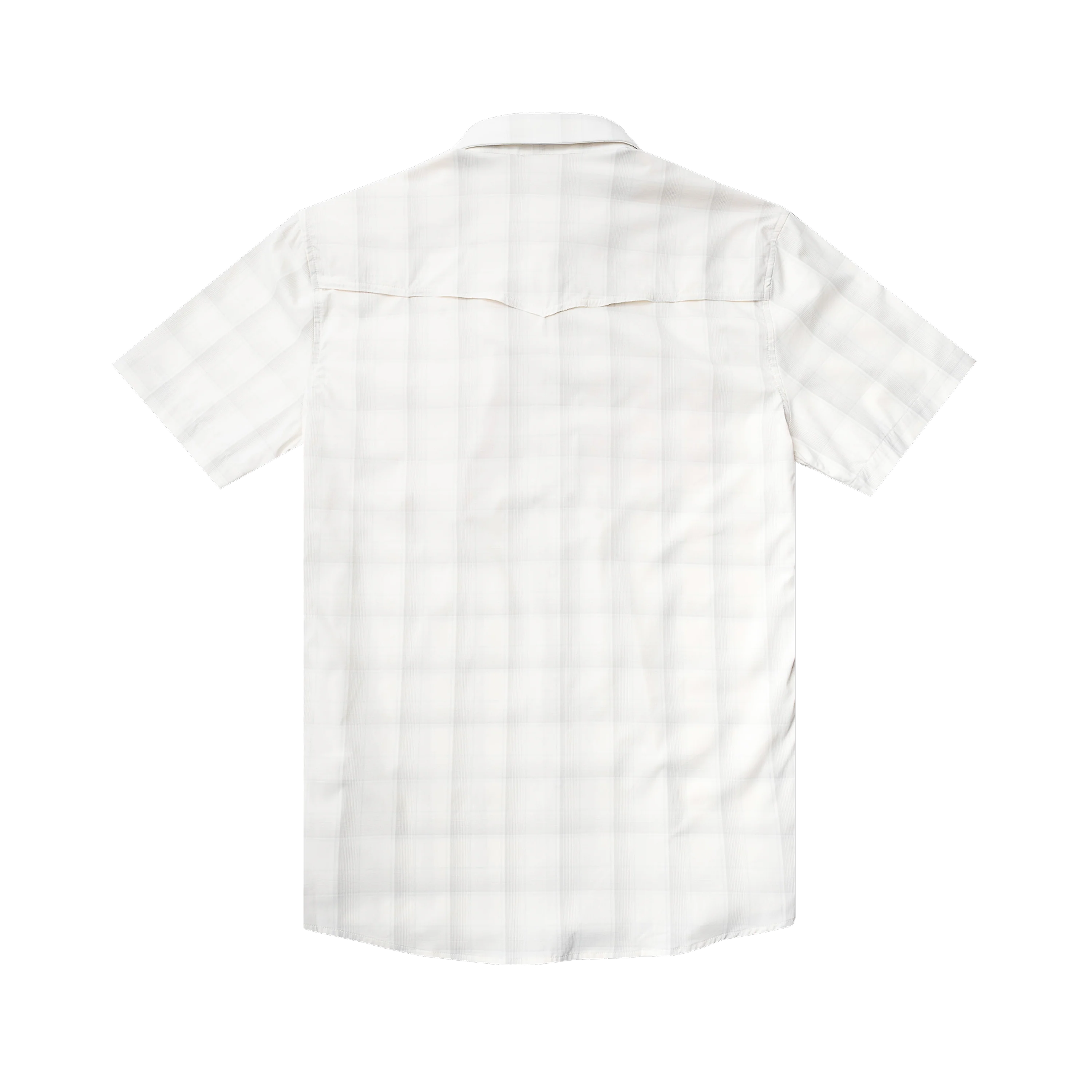 The Whitefish by Poncho