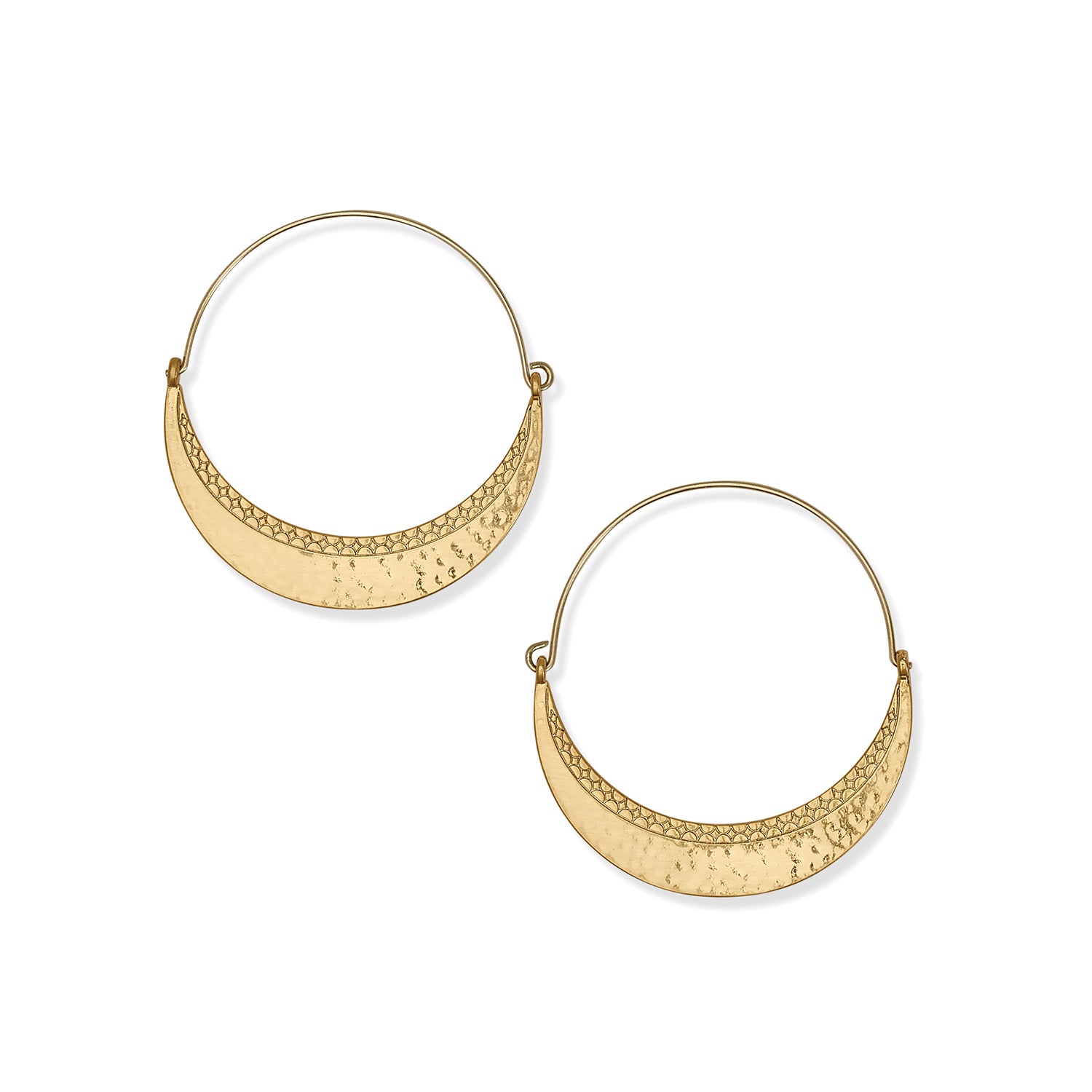 Palm Canyon Large Hoop Earrings/gold