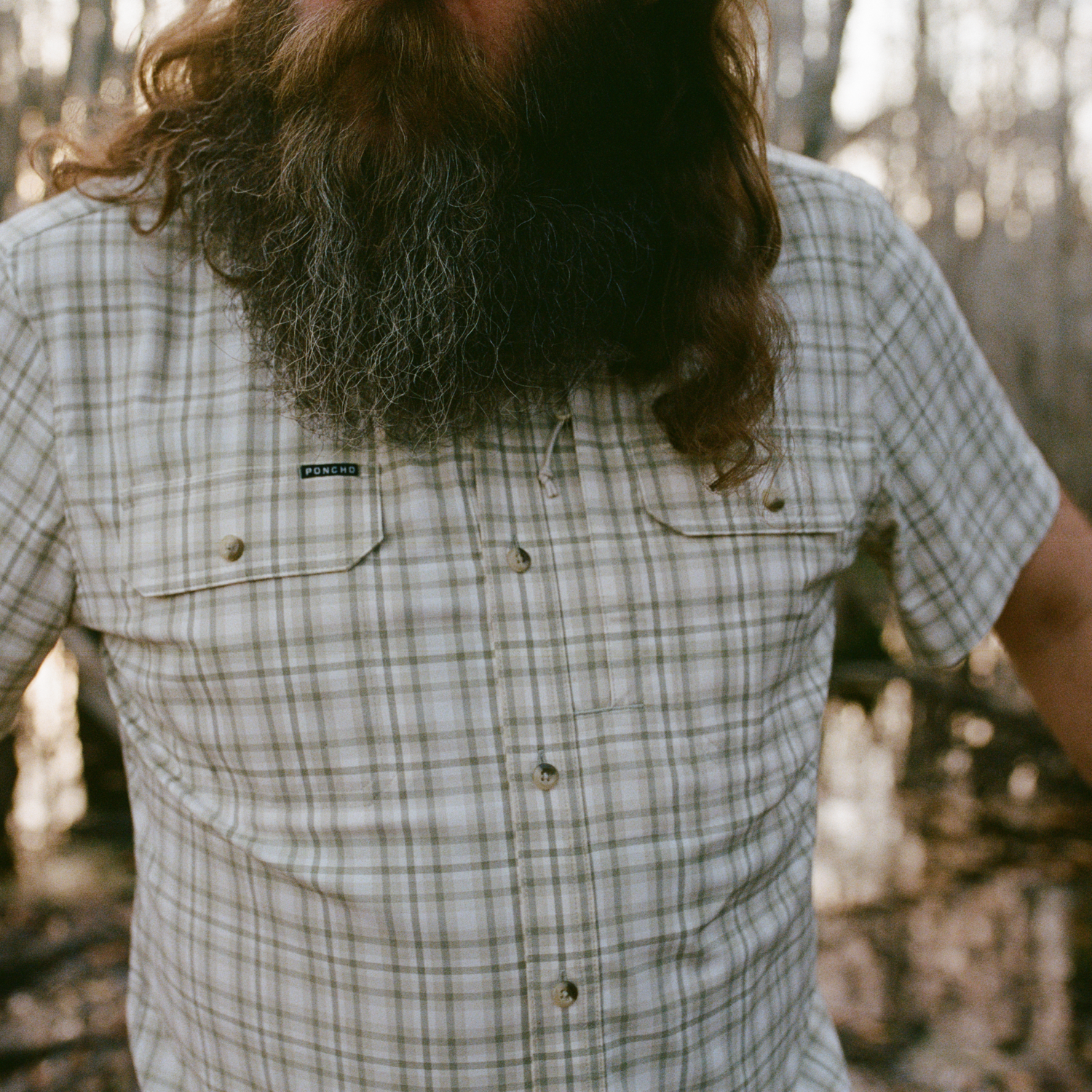 The Everglades by Poncho